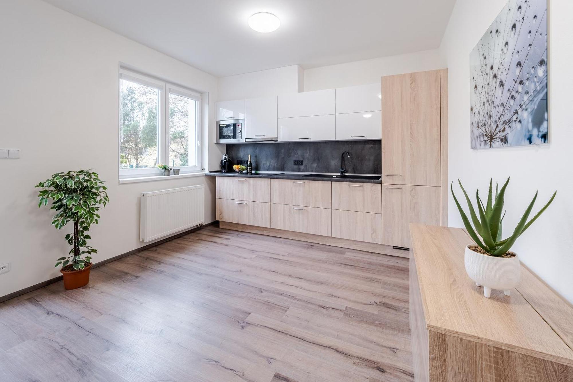 Private Luxury Apartments - Apartman G3 Frymburk Ngoại thất bức ảnh